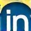 LinkedIn Icon Vignettenberater